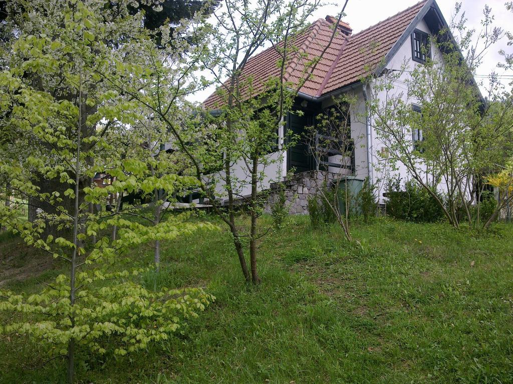 Casa Gabriela Villa Sinaia Phòng bức ảnh